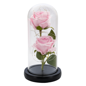 Διπλό Παντοτινό Τριαντάφυλλο με Led σε γυάλινο θόλο 22 εκ. με βάση για Γενέθλια Επετείου Αγίου Βαλεντίνου, Forever Rose Ροζ RC45 OEM